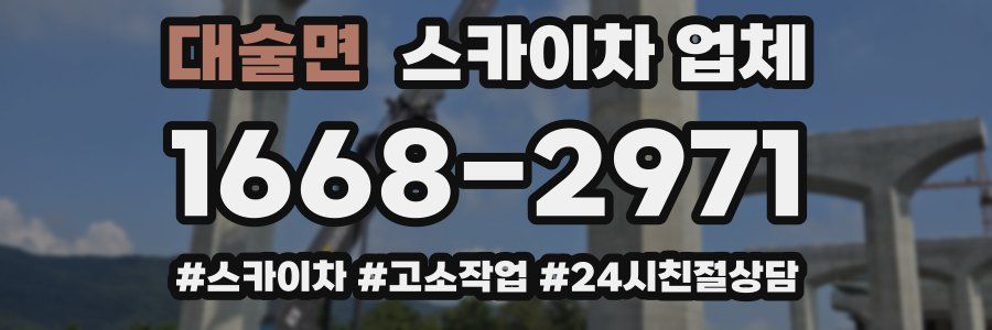 대술면 스카이차 업체