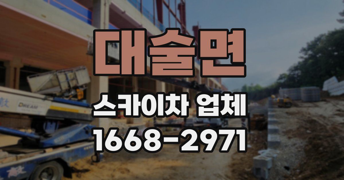 대술면 스카이차 업체