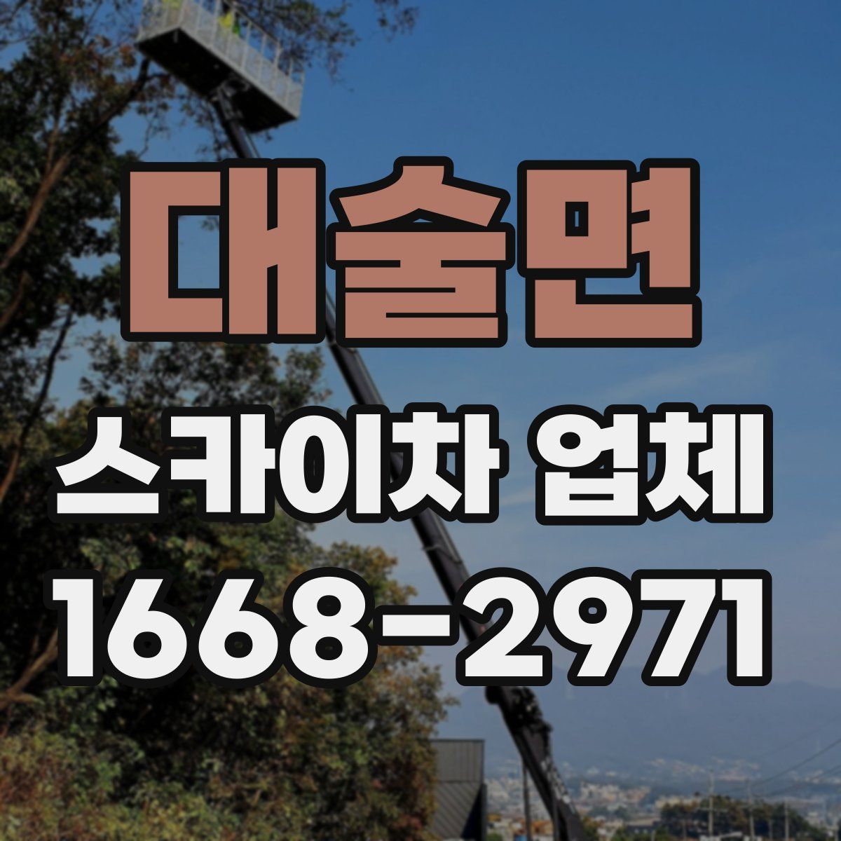 대술면 스카이차 업체