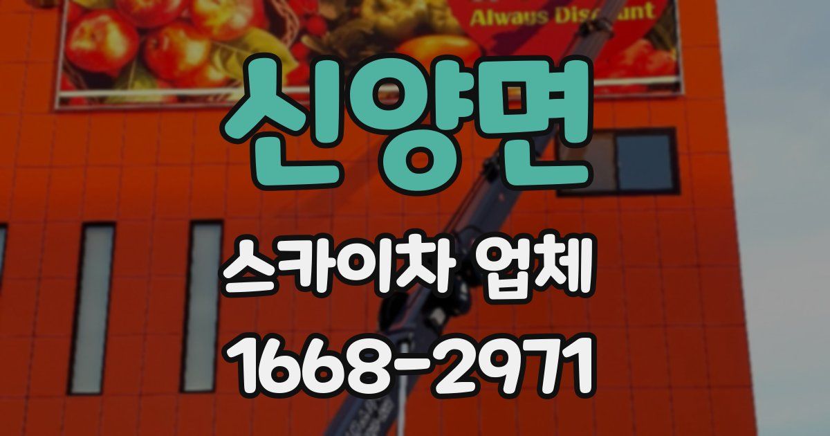신양면 스카이차 업체