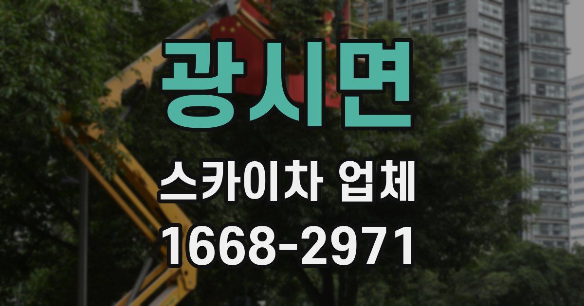 광시면 스카이차 업체