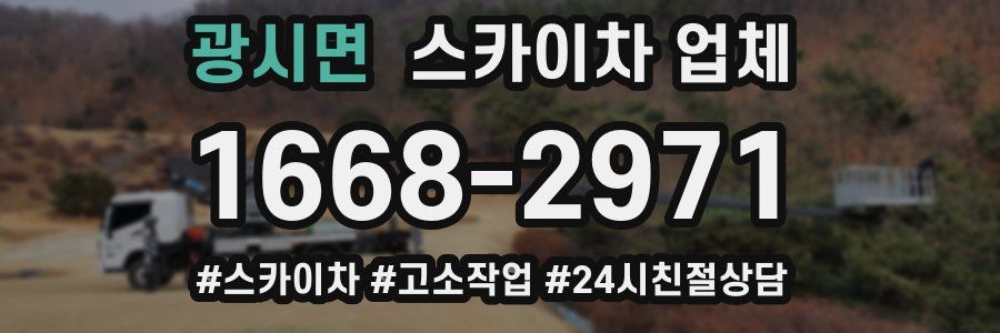 광시면 스카이차 업체