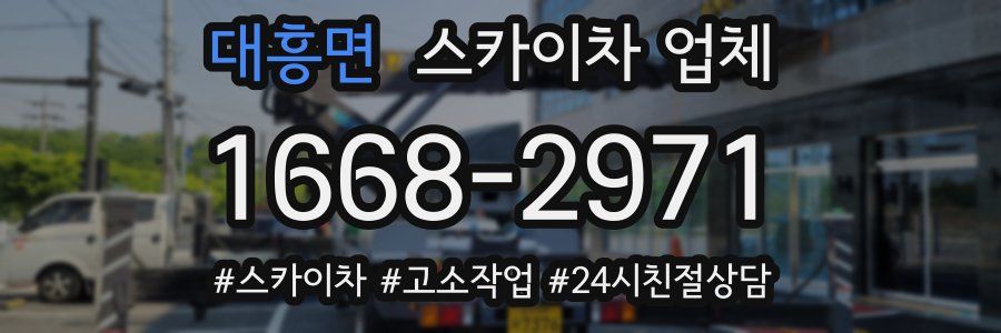 대흥면 스카이차 업체