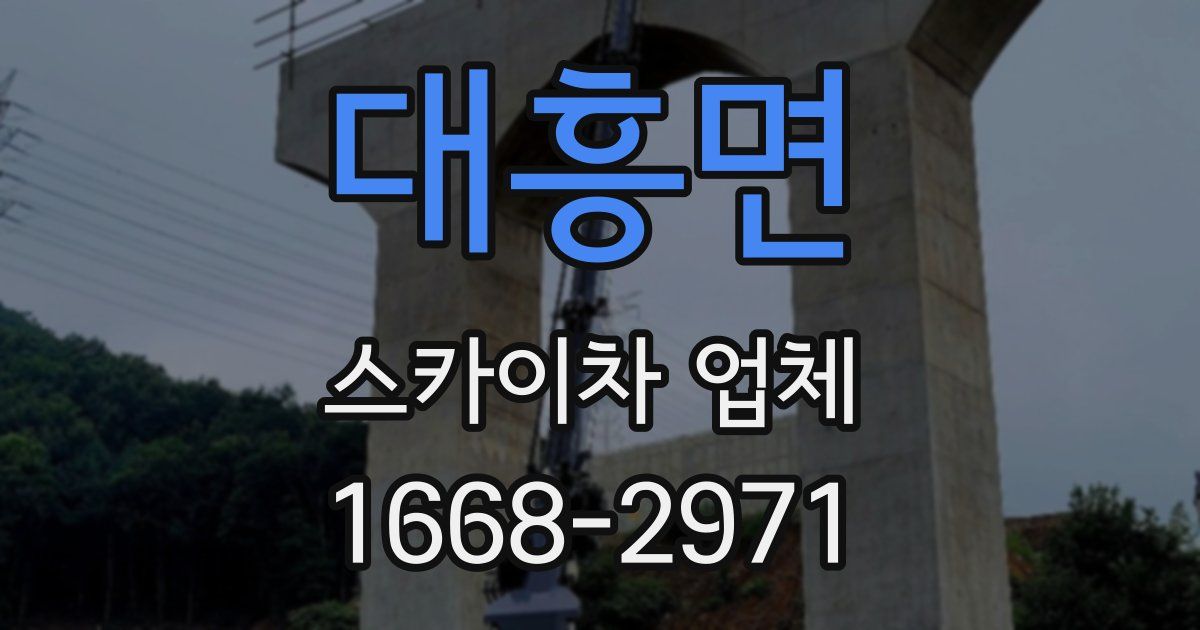 대흥면 스카이차 업체