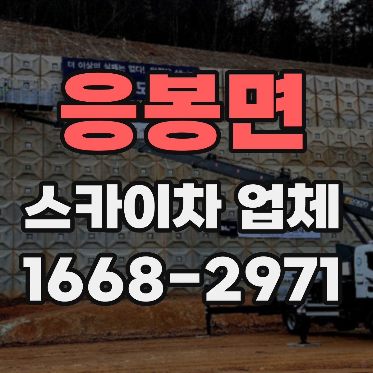 응봉면 스카이차 업체
