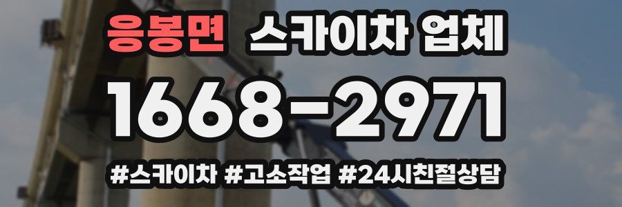 응봉면 스카이차 업체