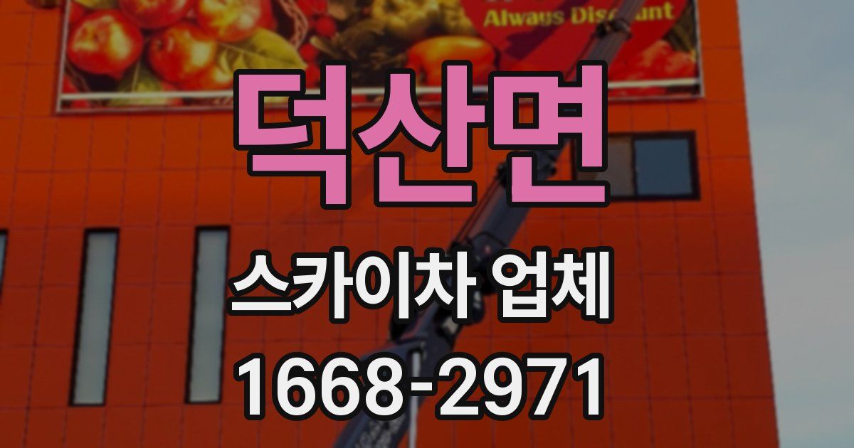 덕산면 스카이차 업체