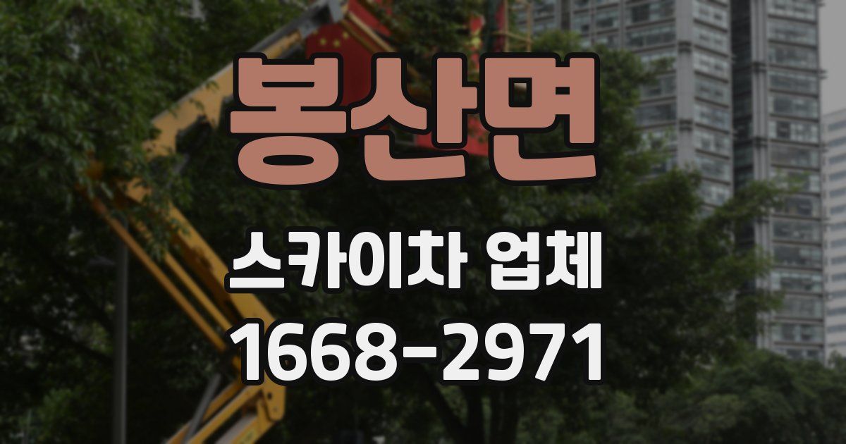 봉산면 스카이차 업체