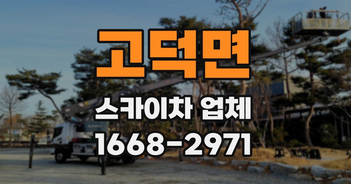 고덕면 스카이차 업체