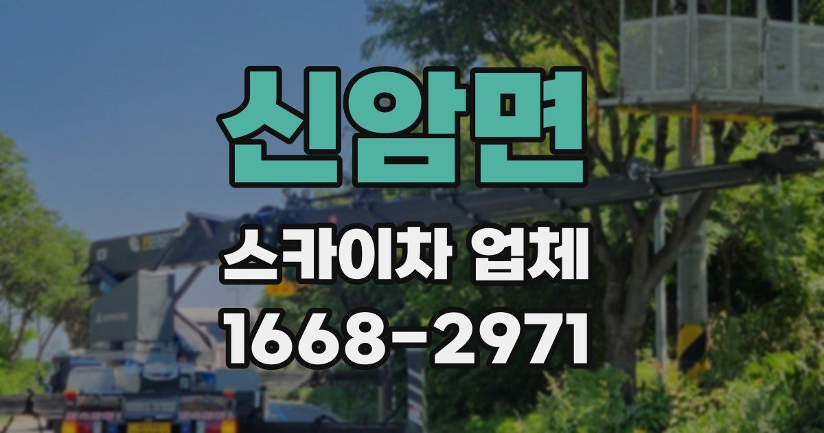 신암면 스카이차 업체