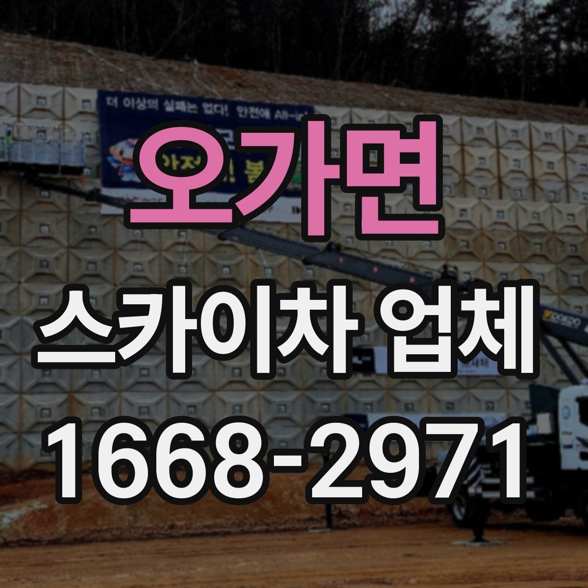 오가면 스카이차 업체
