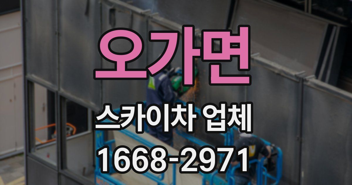 오가면 스카이차 업체