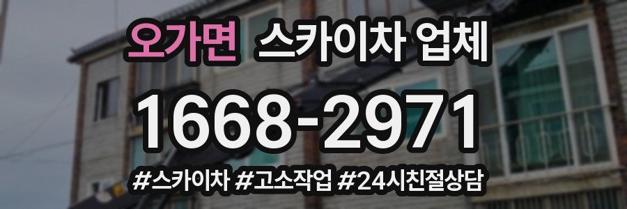 오가면 스카이차 업체