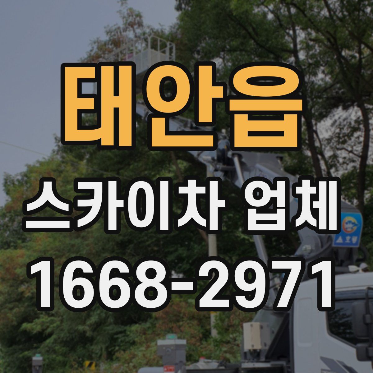 태안읍 스카이차 업체