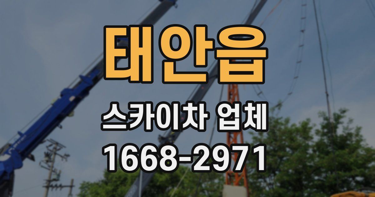 태안읍 스카이차 업체