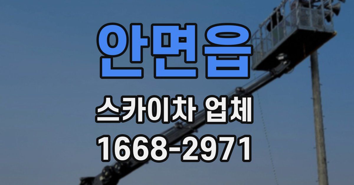 안면읍 스카이차 업체