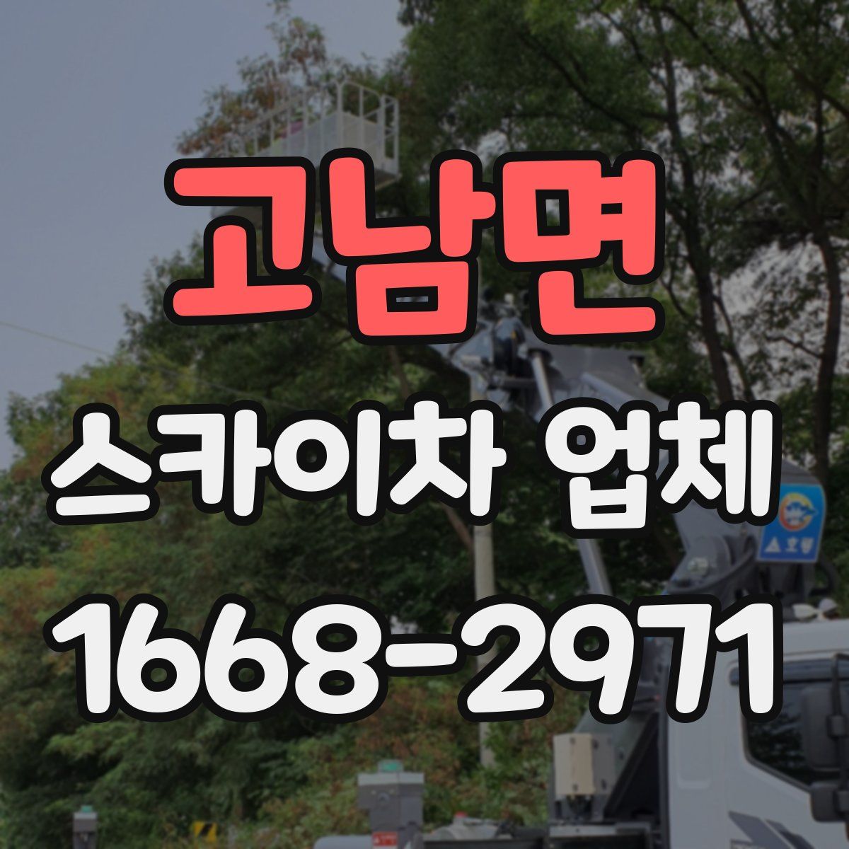 고남면 스카이차 업체