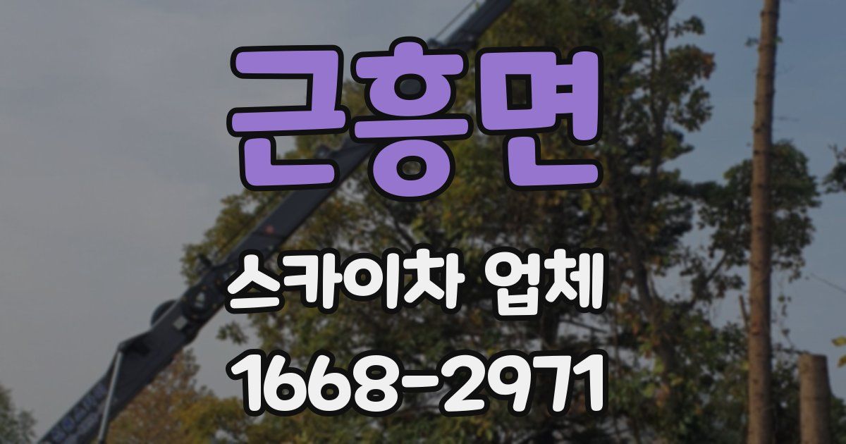 근흥면 스카이차 업체