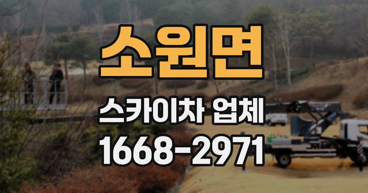 소원면 스카이차 업체