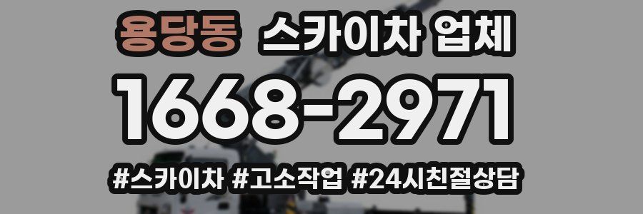용당동 스카이차 업체