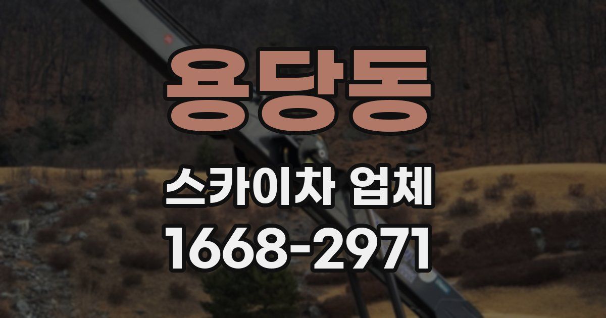 용당동 스카이차 업체