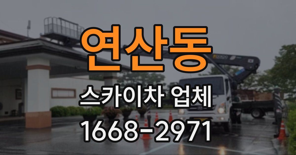 연산동 스카이차 업체
