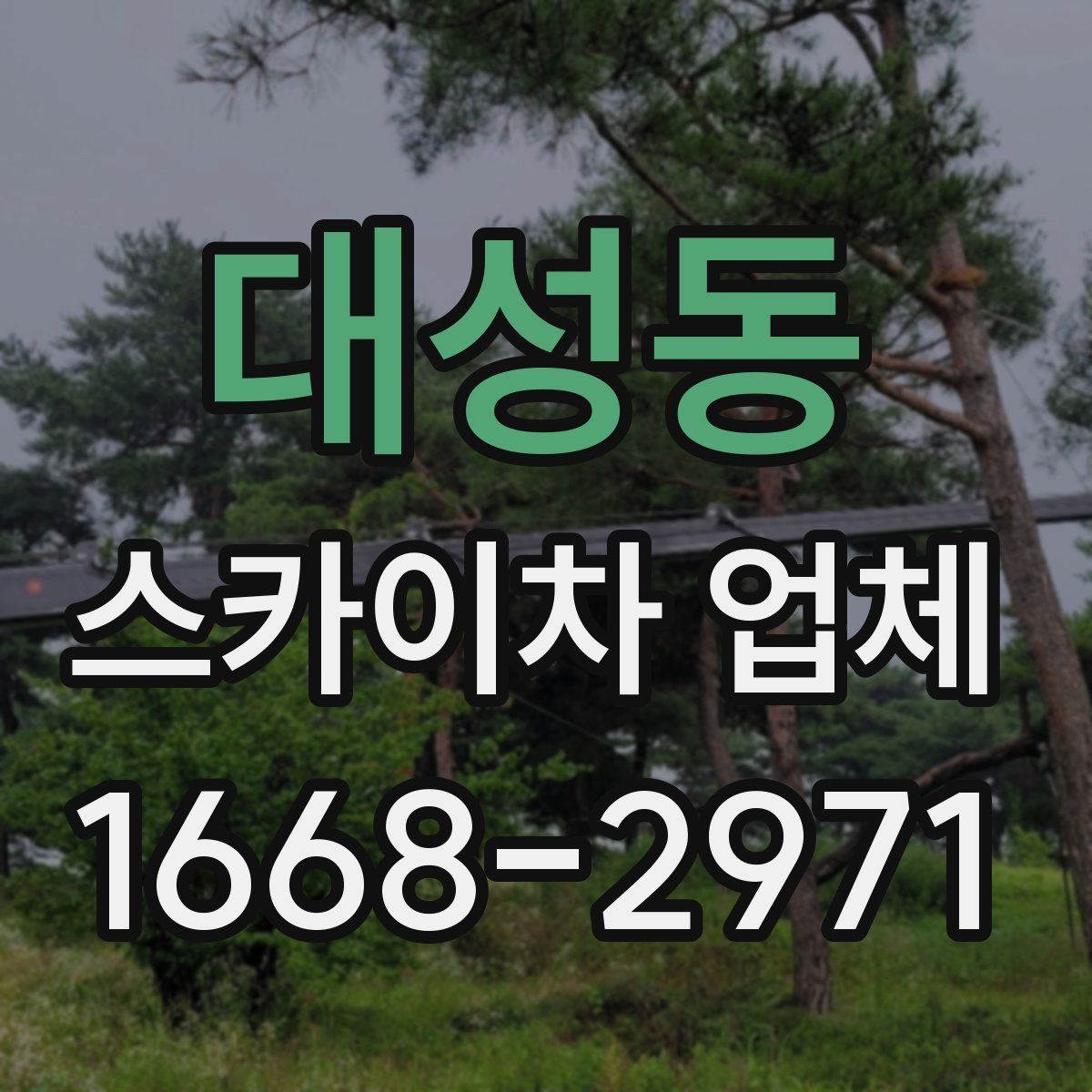 대성동 스카이차 업체