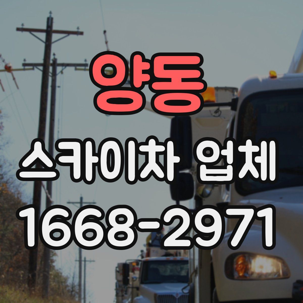 양동 스카이차 업체