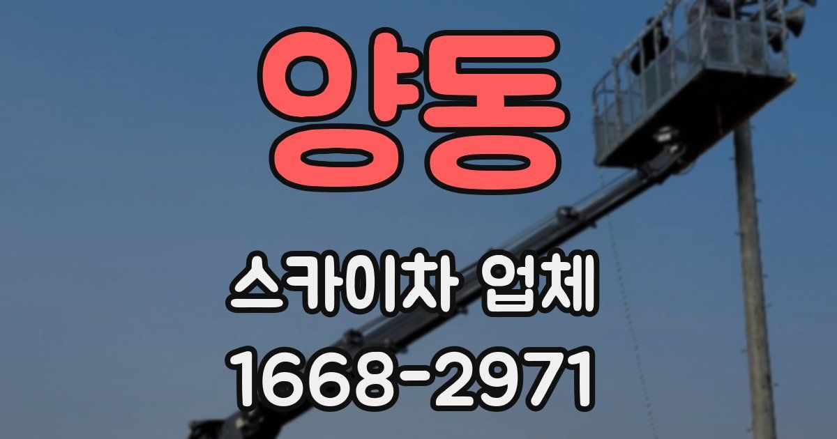 양동 스카이차 업체
