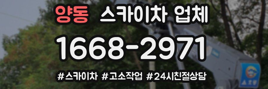 양동 스카이차 업체