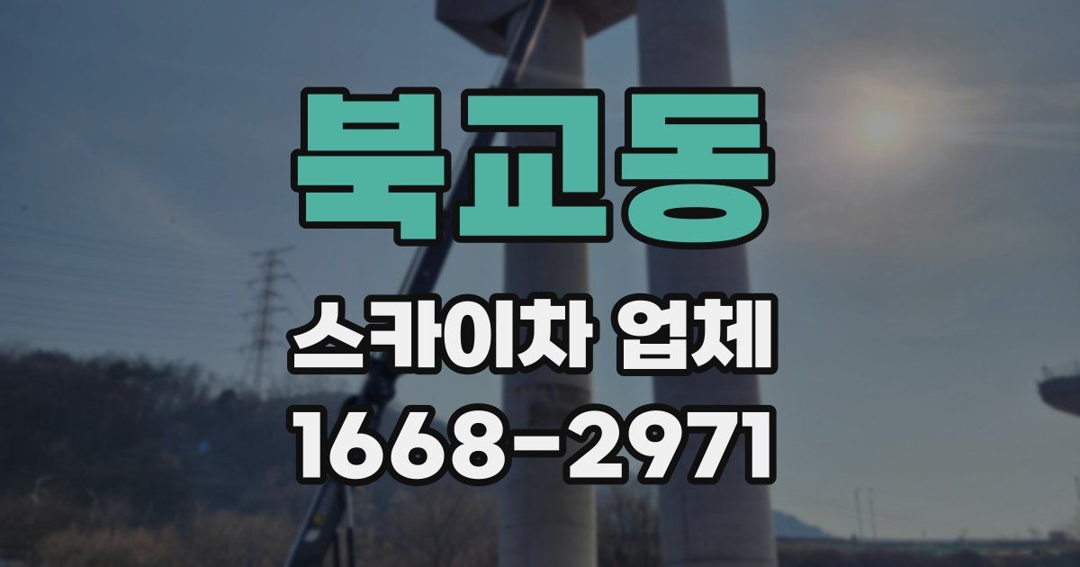 북교동 스카이차 업체