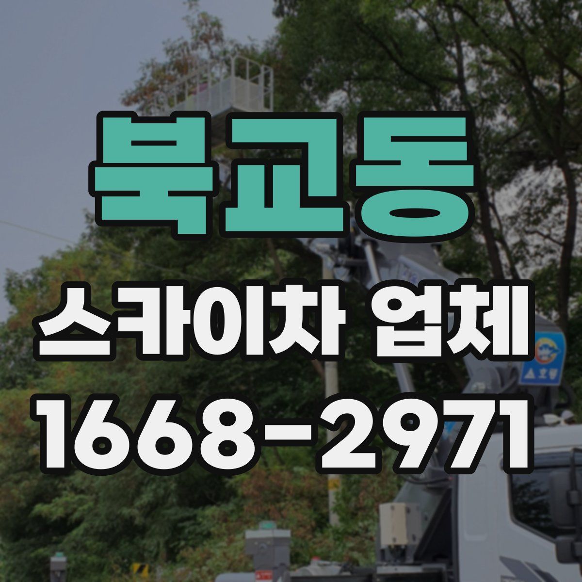 북교동 스카이차 업체