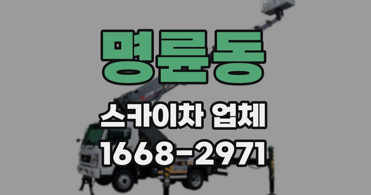 명륜동 스카이차 업체