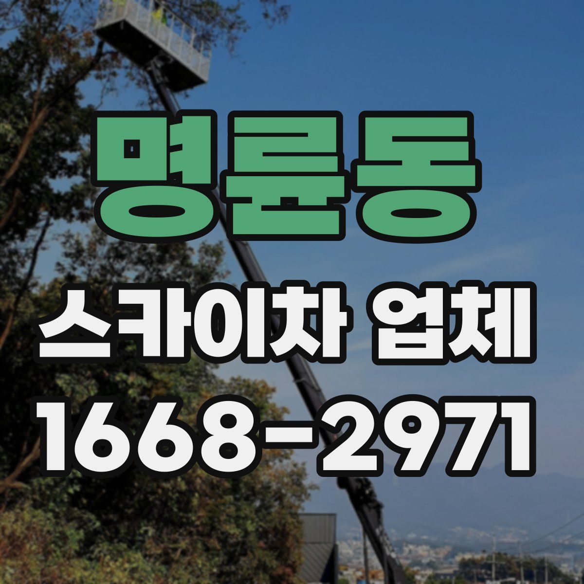 명륜동 스카이차 업체