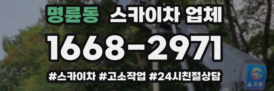 명륜동 스카이차 업체