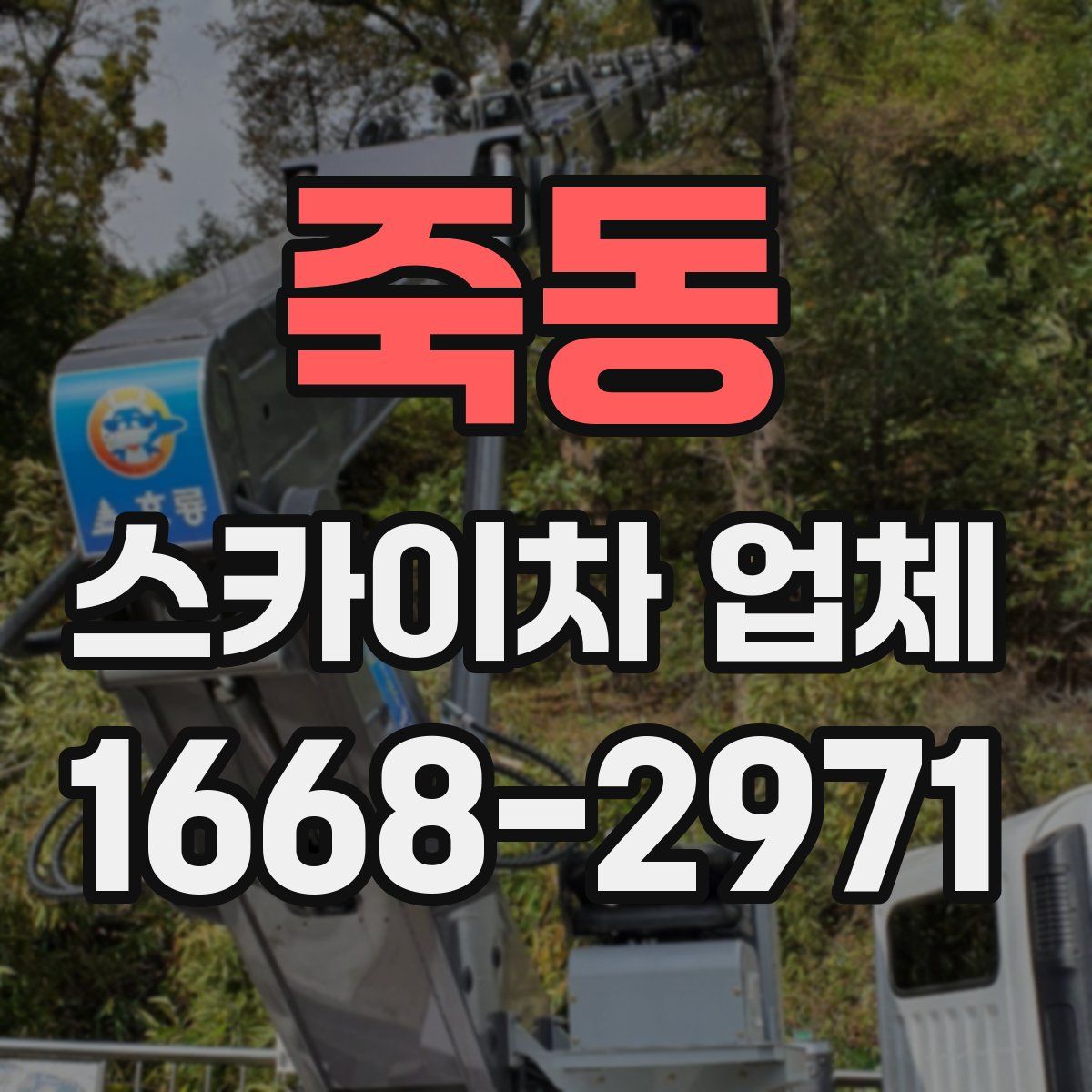 죽동 스카이차 업체
