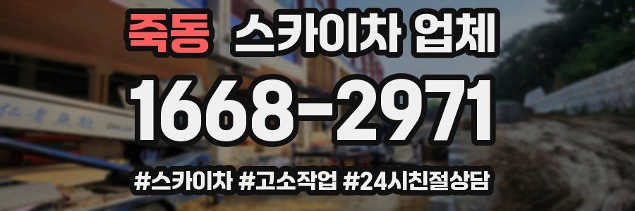죽동 스카이차 업체