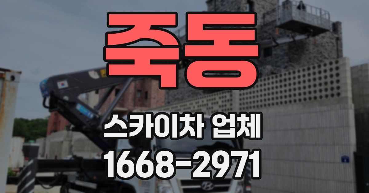 죽동 스카이차 업체