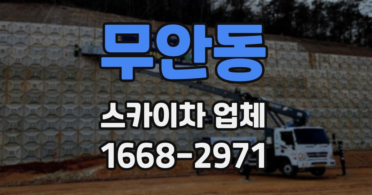 무안동 스카이차 업체