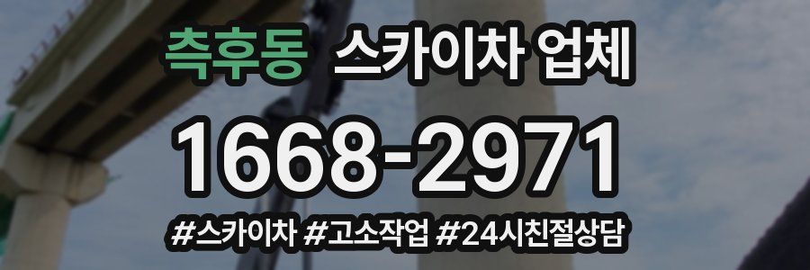 측후동 스카이차 업체