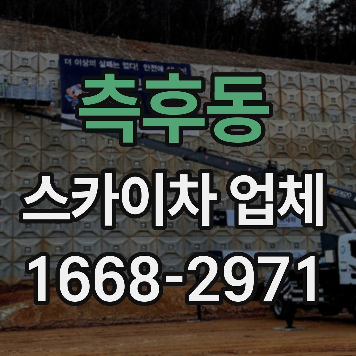 측후동 스카이차 업체