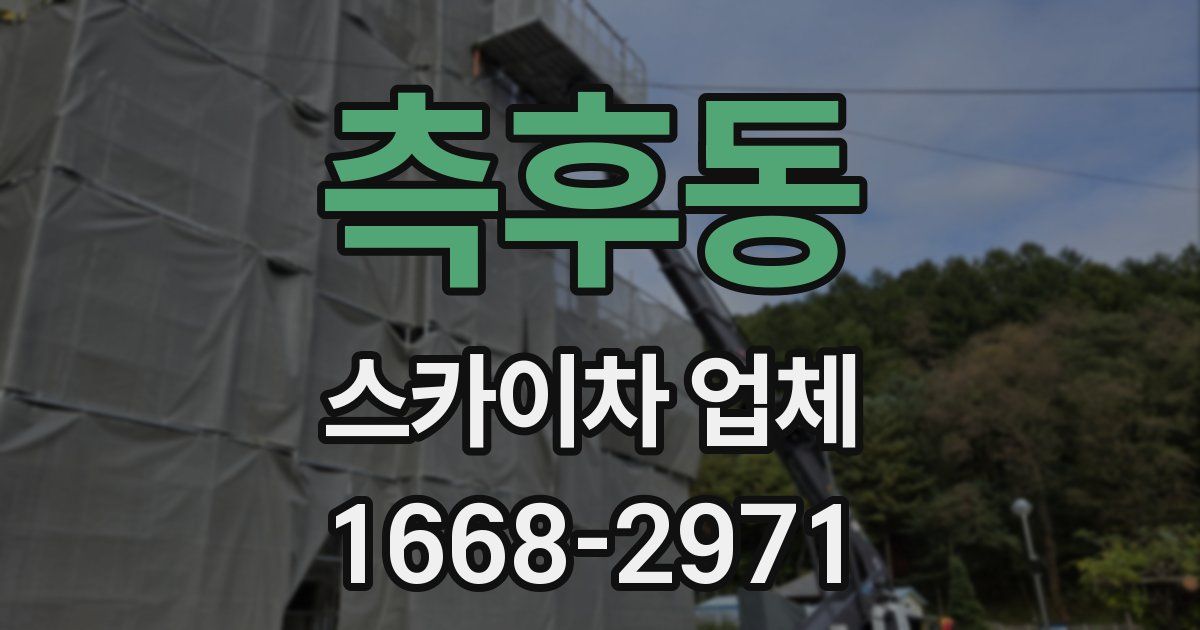 측후동 스카이차 업체