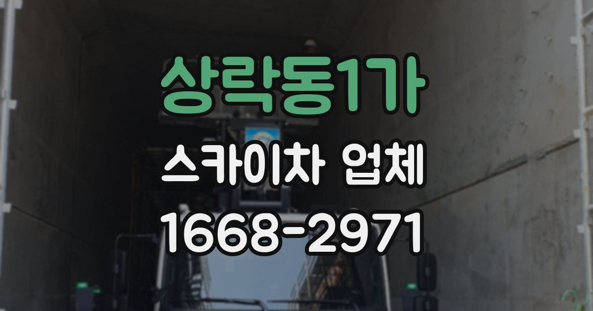 상락동1가 스카이차 업체