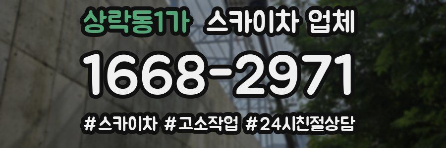 상락동1가 스카이차 업체