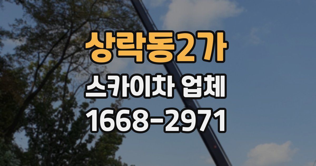 상락동2가 스카이차 업체