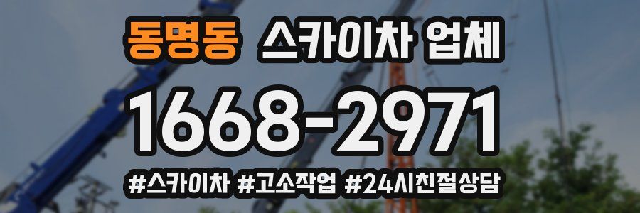 동명동 스카이차 업체