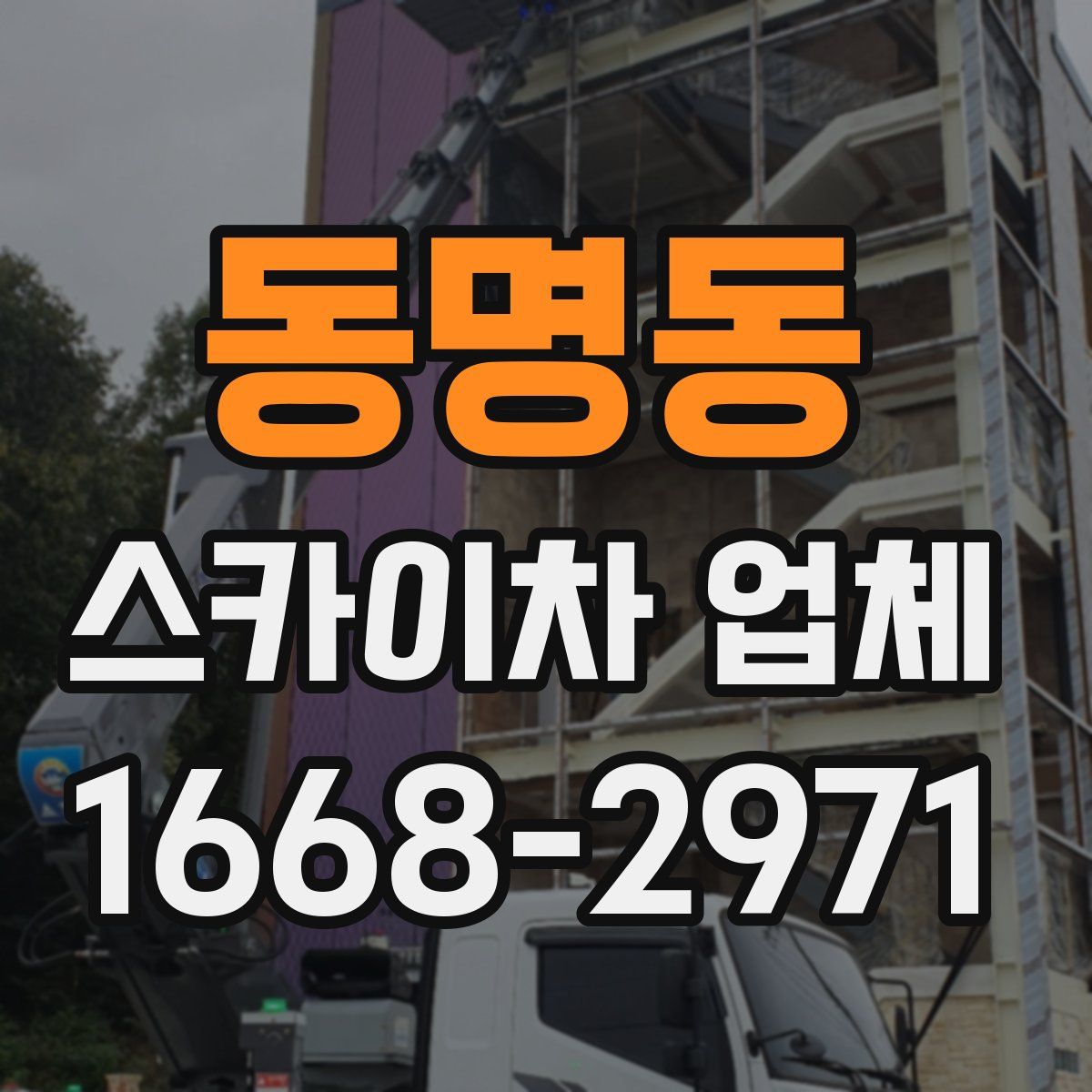동명동 스카이차 업체