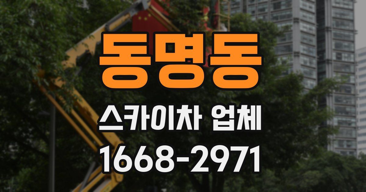 동명동 스카이차 업체