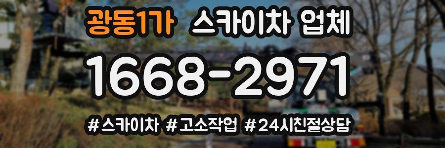 광동1가 스카이차 업체