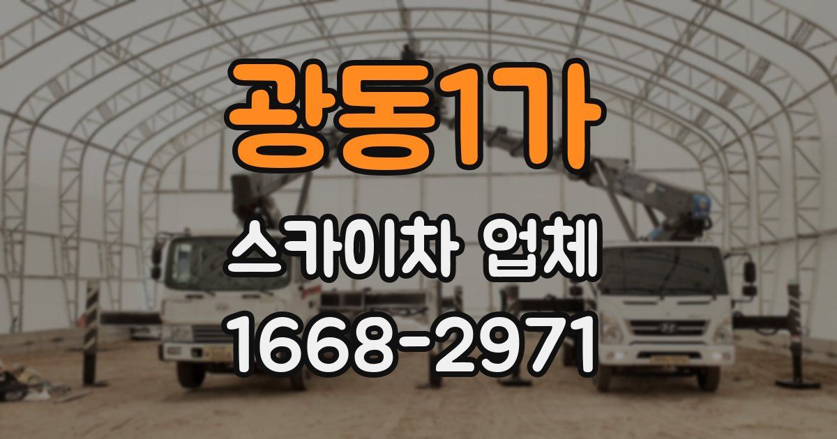 광동1가 스카이차 업체